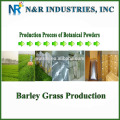 Powder Form Organic Barley Grass Powder 80mesh to 200mesh without dextrin